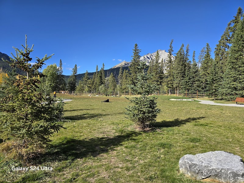 Banff rec-grounds dog park