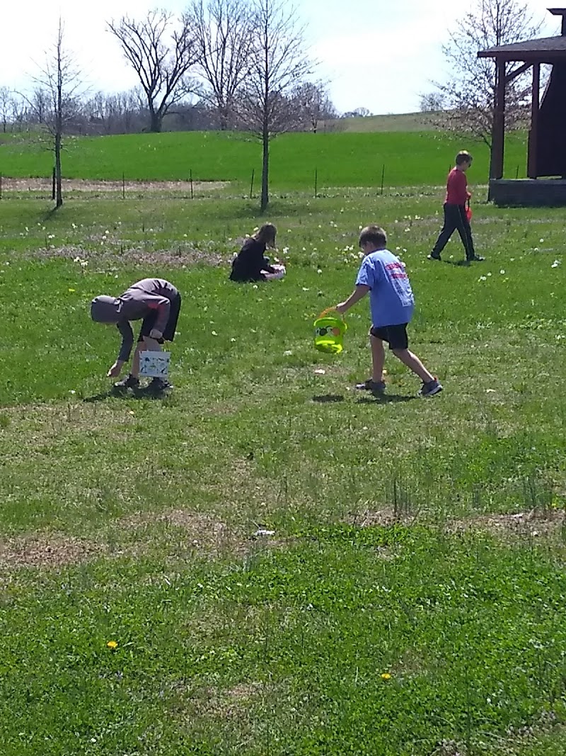 Trey Park / skatepark & Trousdale County swimming pool