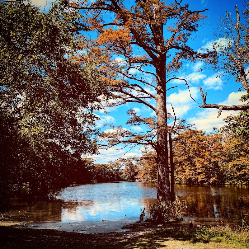 Remmel Park