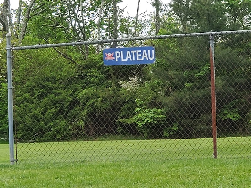 Minors Field