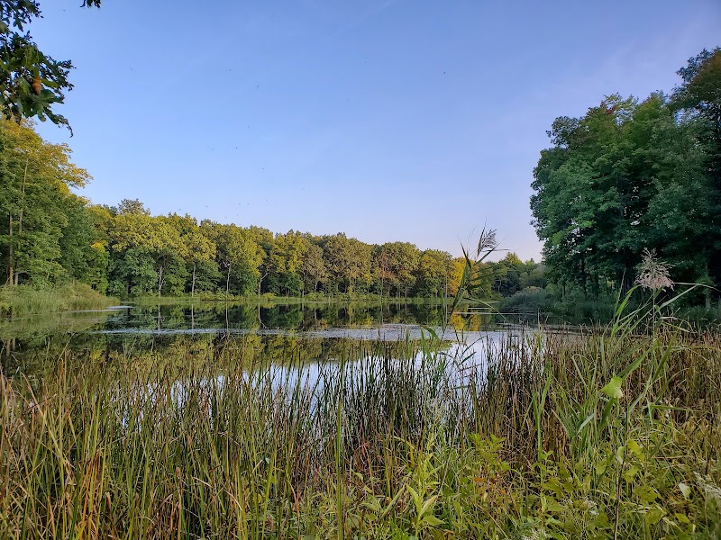 Seneca Ponds