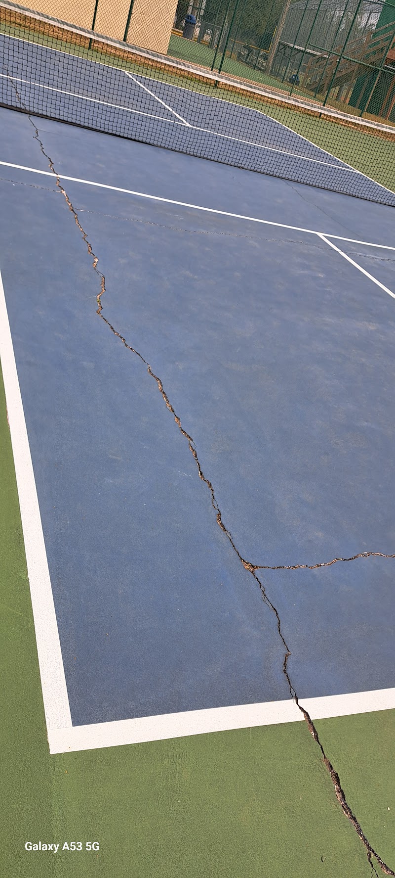 Lady Lake Pickleball Courts