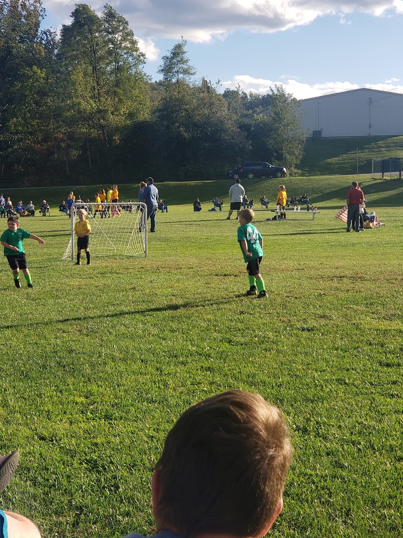 Ripley field