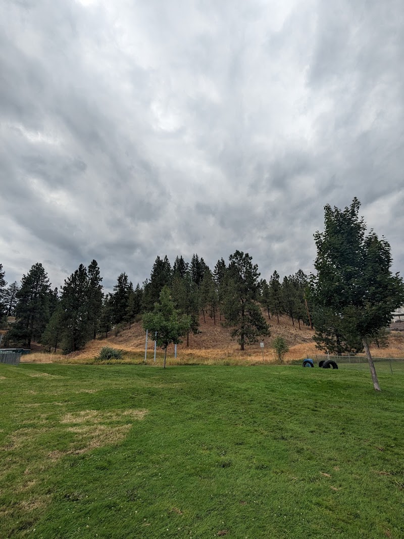 Summerland Ball Park