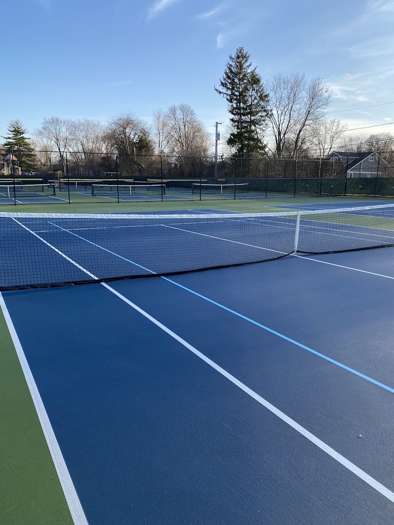 Dryden Park Pickleball and Tennis Courts