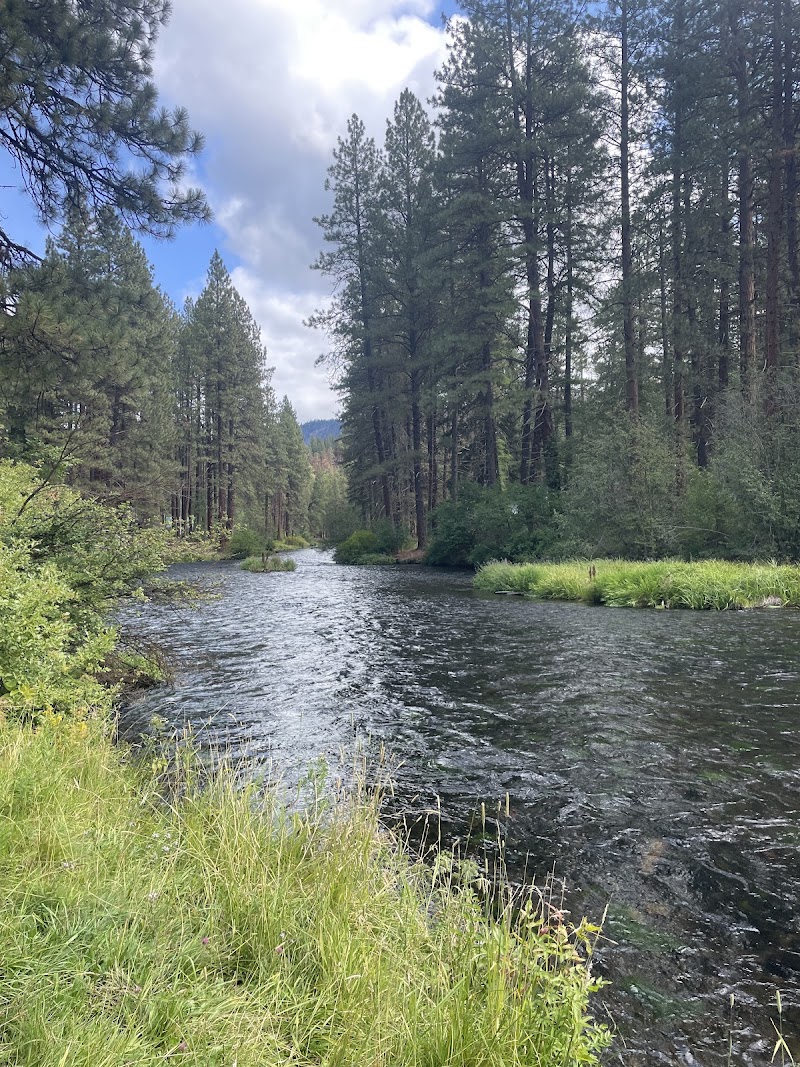 Metolius River Trail - Pickleball in Camp Sherman, Oregon