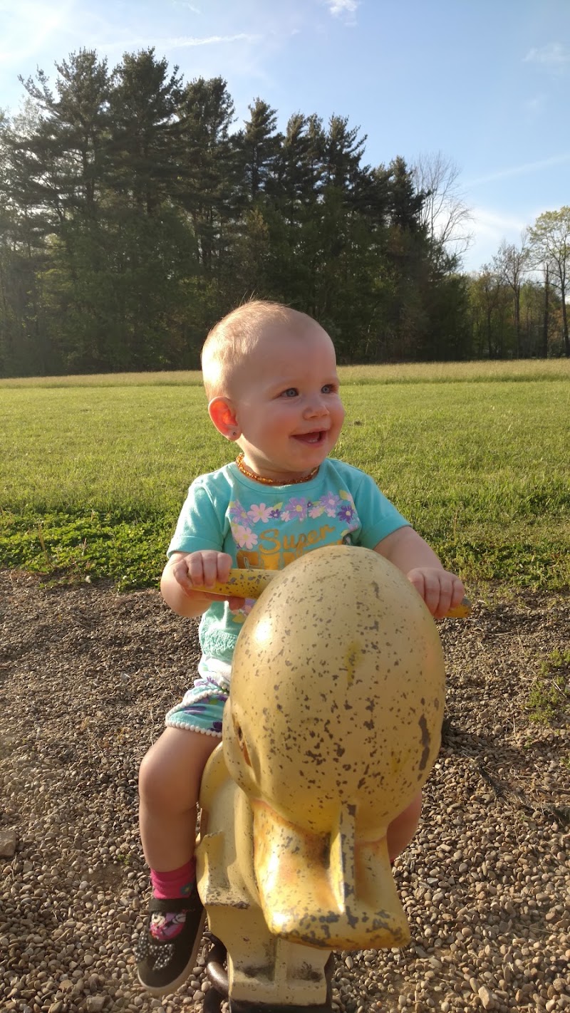 New Germany Recreation Park - Pickleball in Nicktown, Pennsylvania