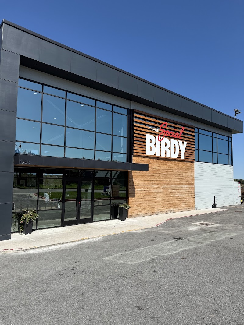 The Social Birdy