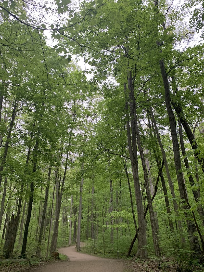 New Albany Parks & Recreation