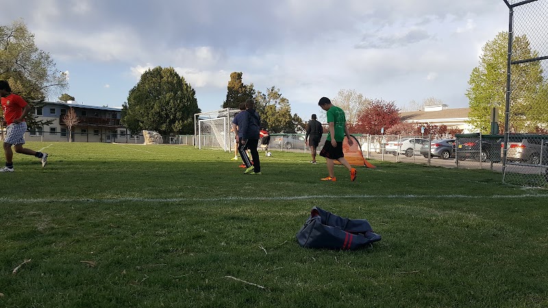 Community Field