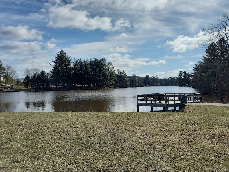 Mill Pond Park - Pickleball in Luther, Michigan