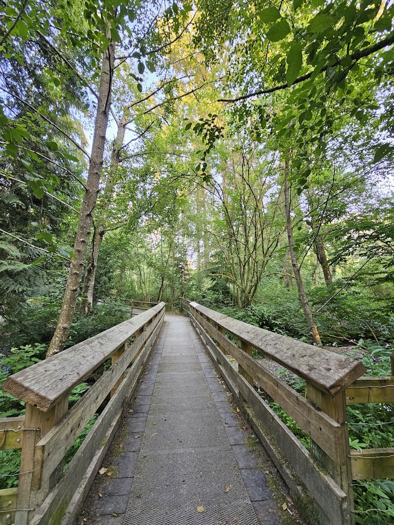 Stoney Creek School Park