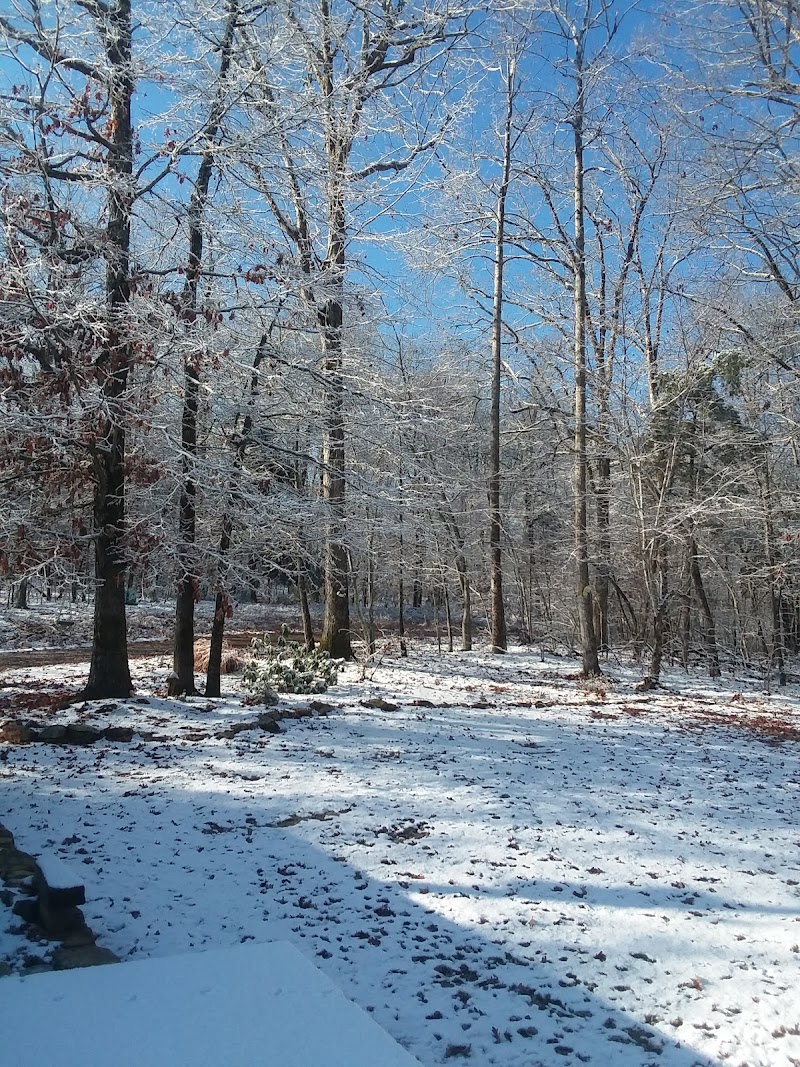 Snow Camp