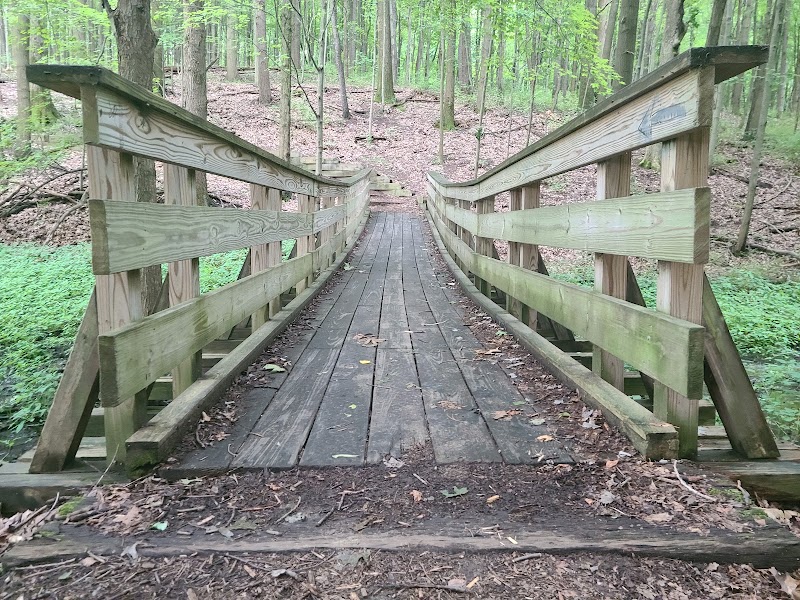 Towner's Woods