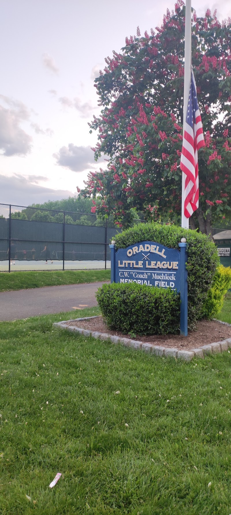 Oradell Tennis & Pickleball Courts - Pickleball in Hewitt, New Jersey