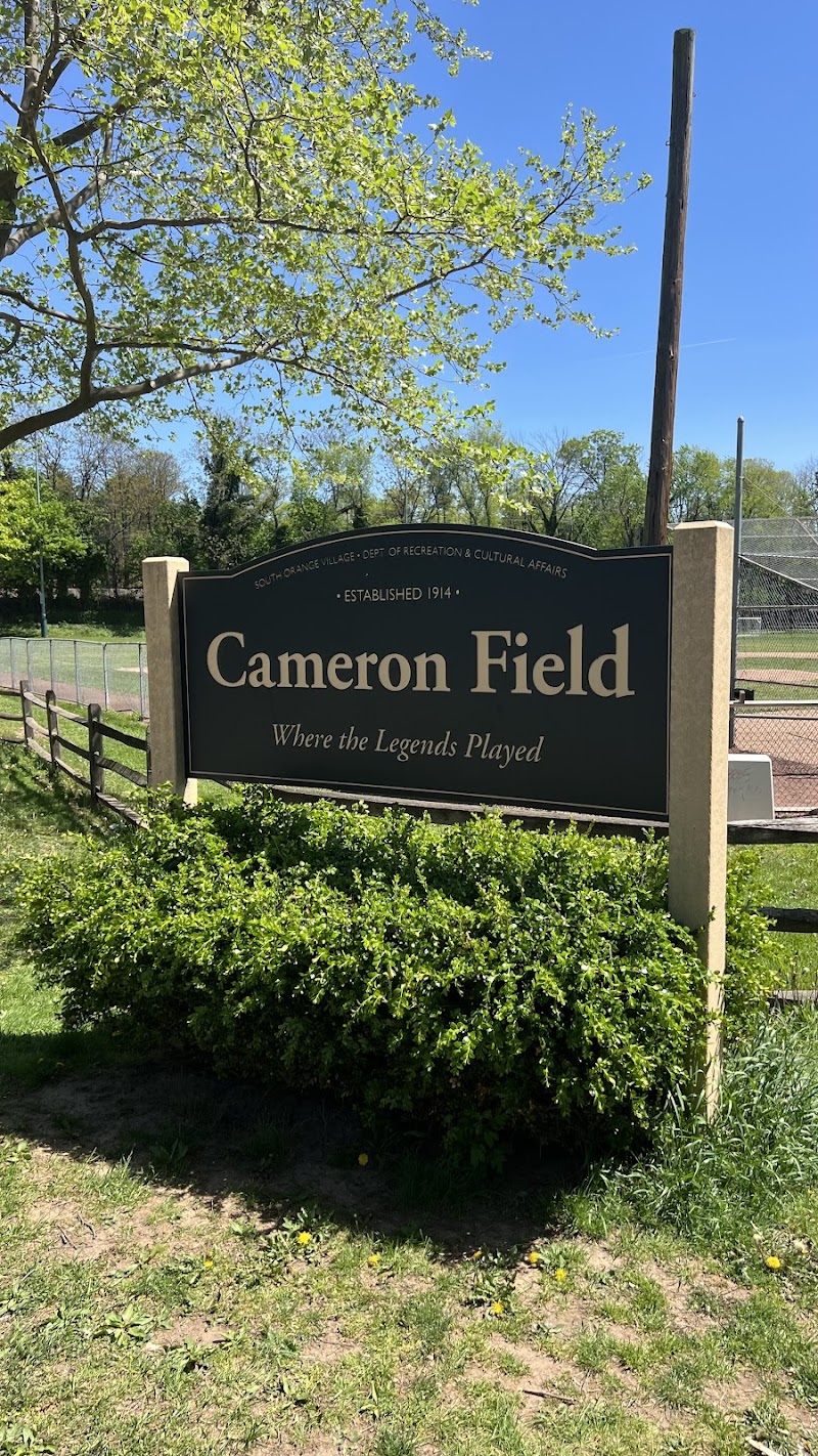 Cameron Field Playground