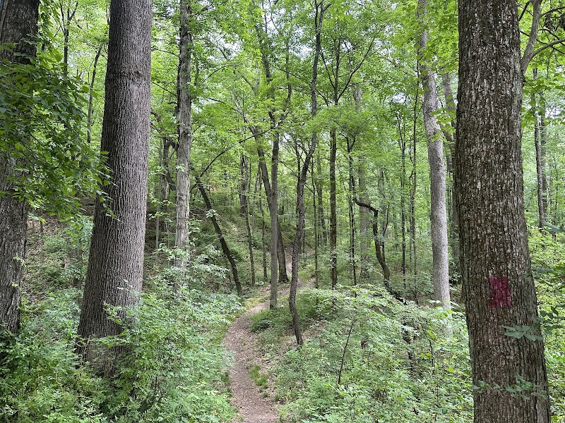 Spring Valley Park