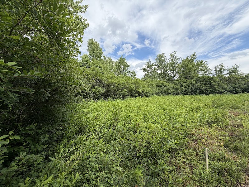 Cranberry Bog State Nature Preserve