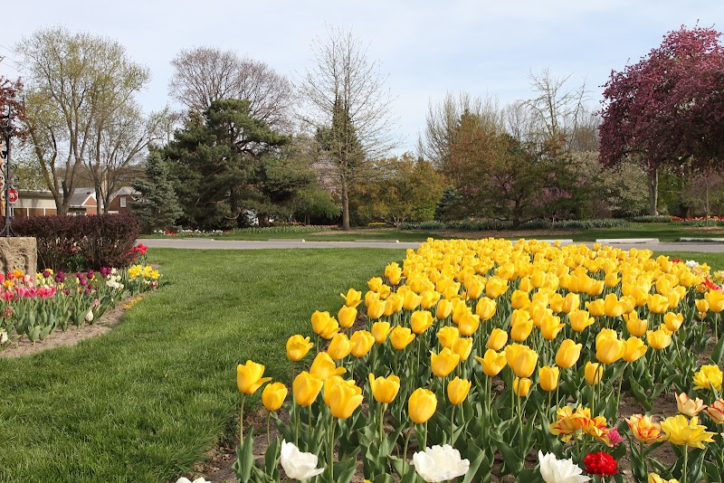 Foster Park