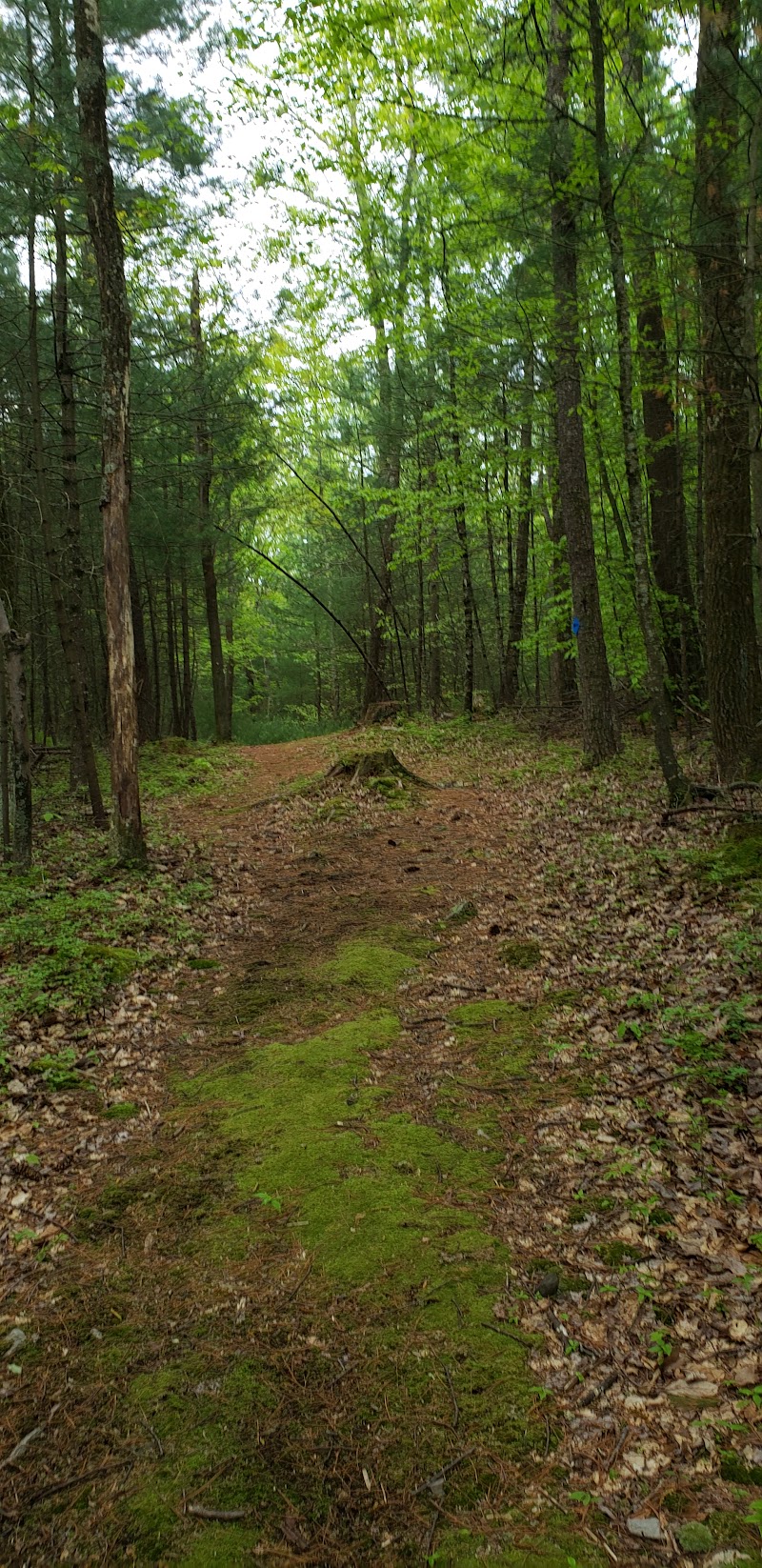 HJP Regional Park