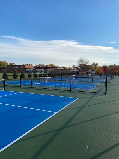 Shepard Pickle Ball Courts - Pickleball in Deerfield, Michigan
