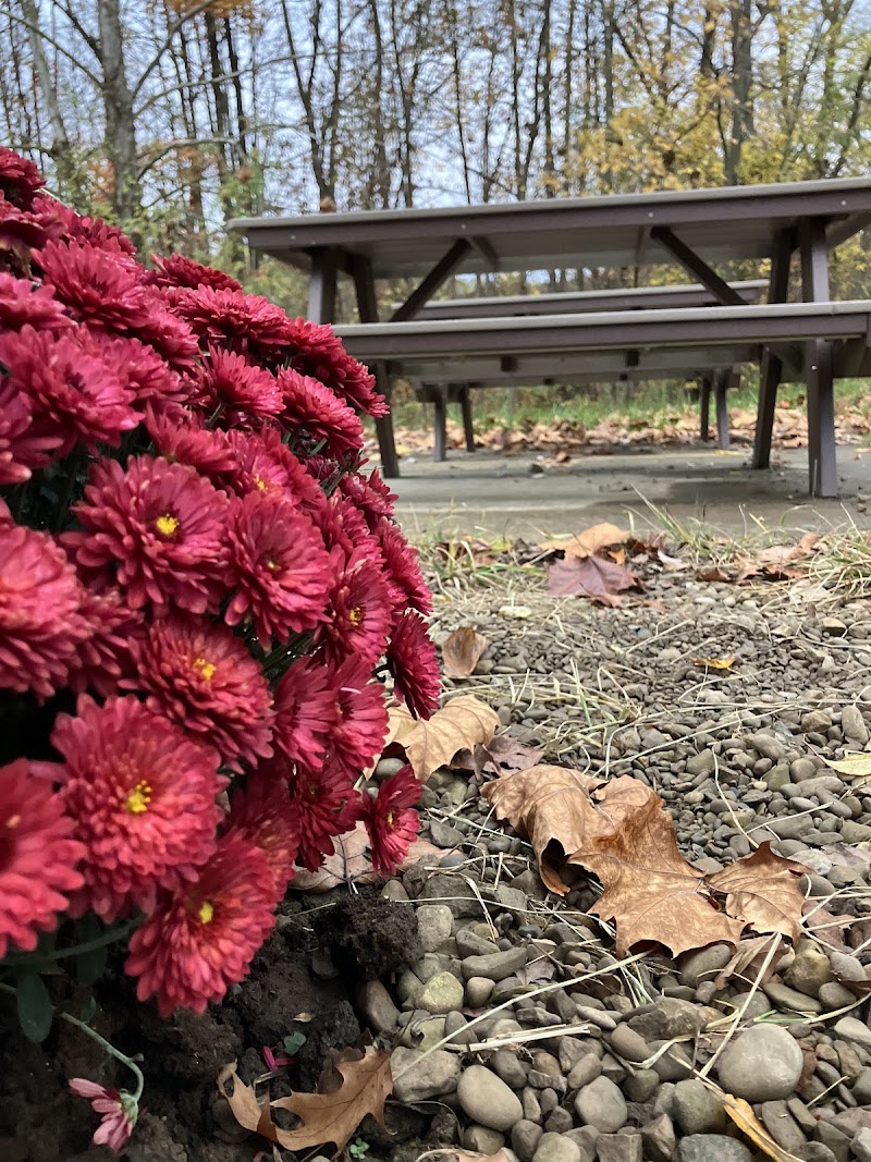 Holmes County Trail (Holmesville)