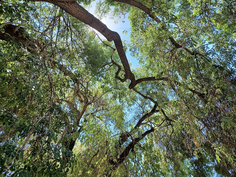 Holmes Park