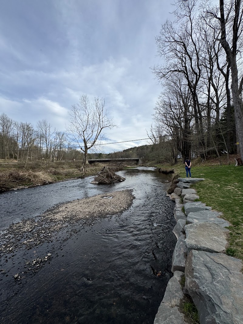 Neversink River Access Park