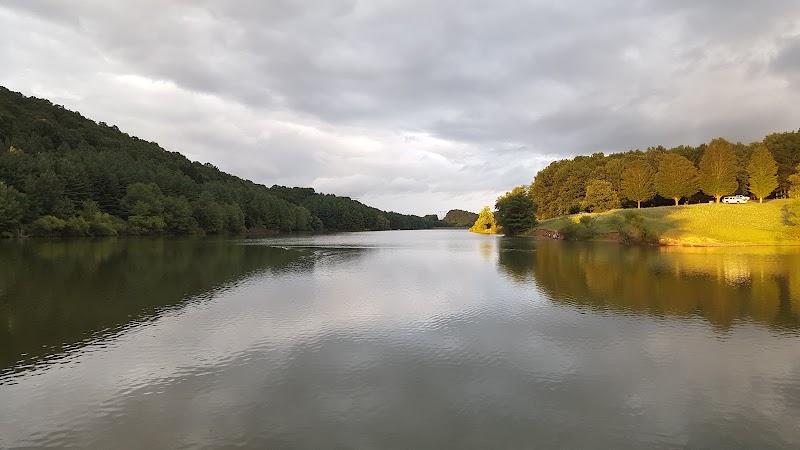 Rural Retreat Fishing Lake