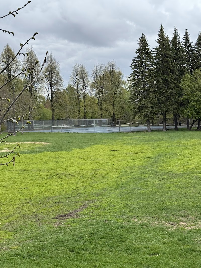 Windsor Park Tennis Courts (South)