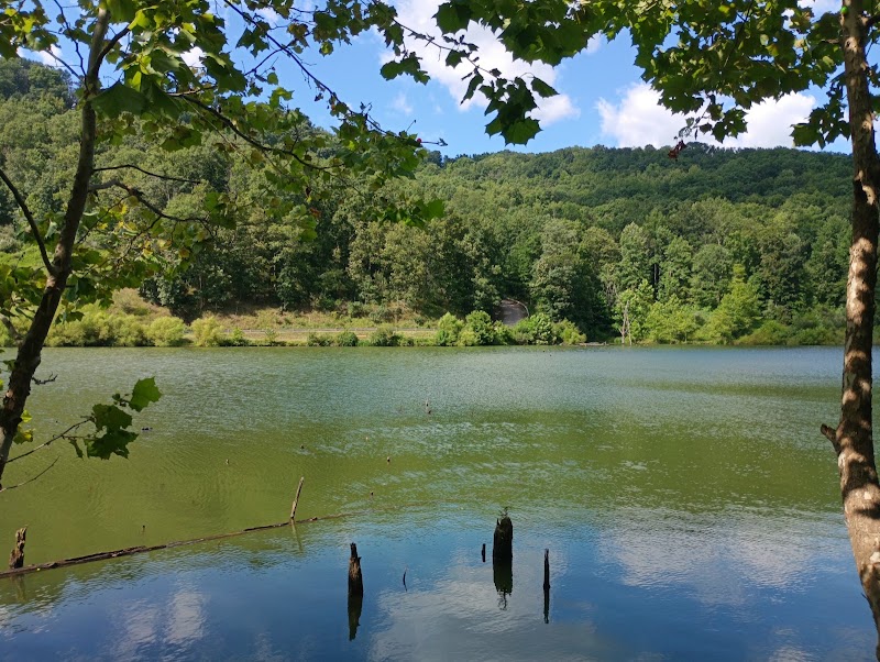 Wallback Lake - Pickleball in Wallback, West Virginia