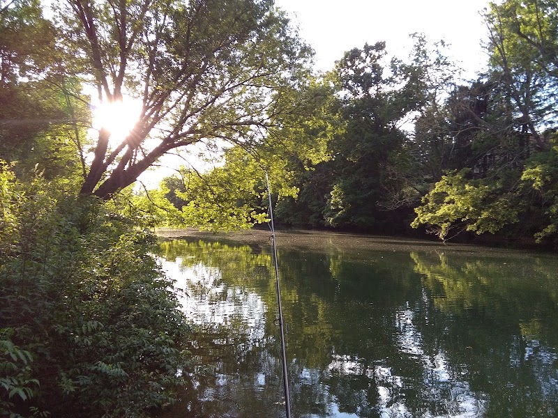 Buckhannon River Walk Trail - Pickleball in Buckhannon, West Virginia
