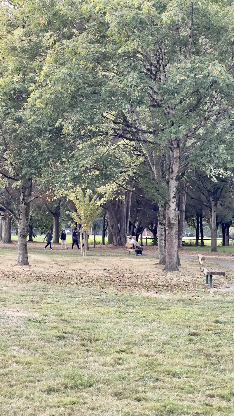 South Arm 4 Athletic Field