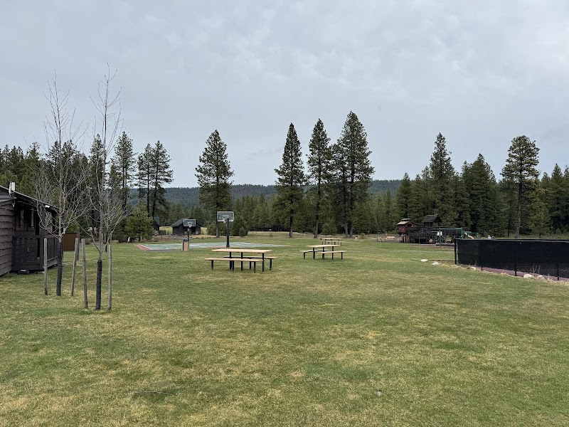 Dawson Park Pickleball