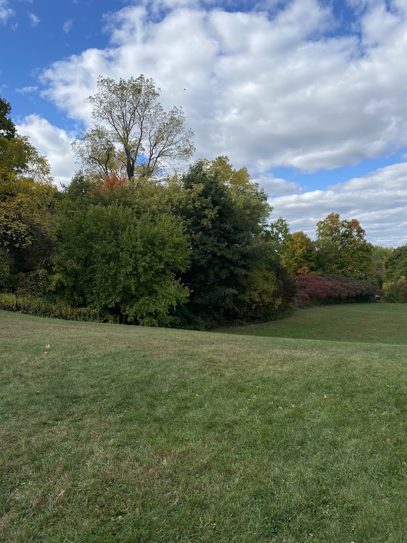 Wurster Park - Pickleball in Ann Arbor, Michigan