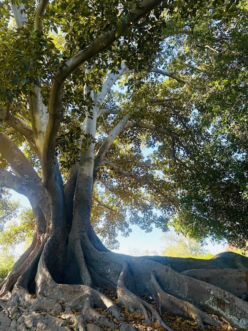 Ganesha Park