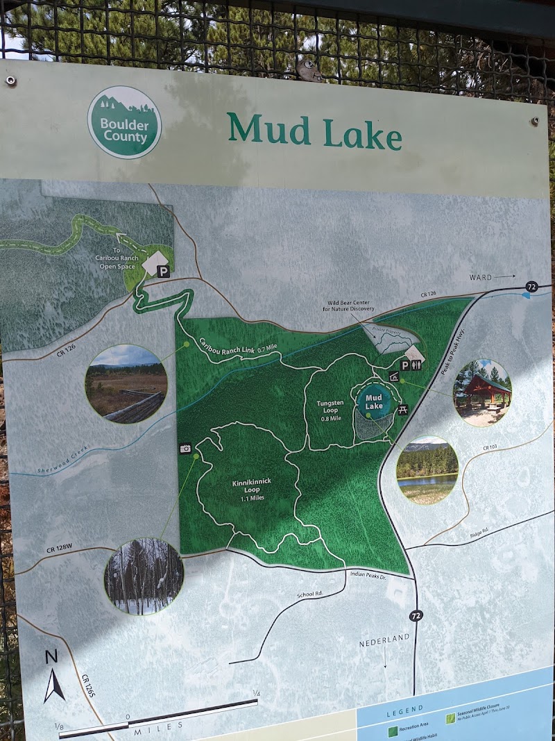 Mud Lake - Pickleball in Nederland, Colorado