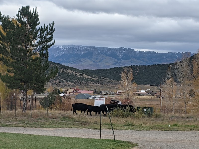 Frontier Field - Pickleball in Ridgway, Colorado