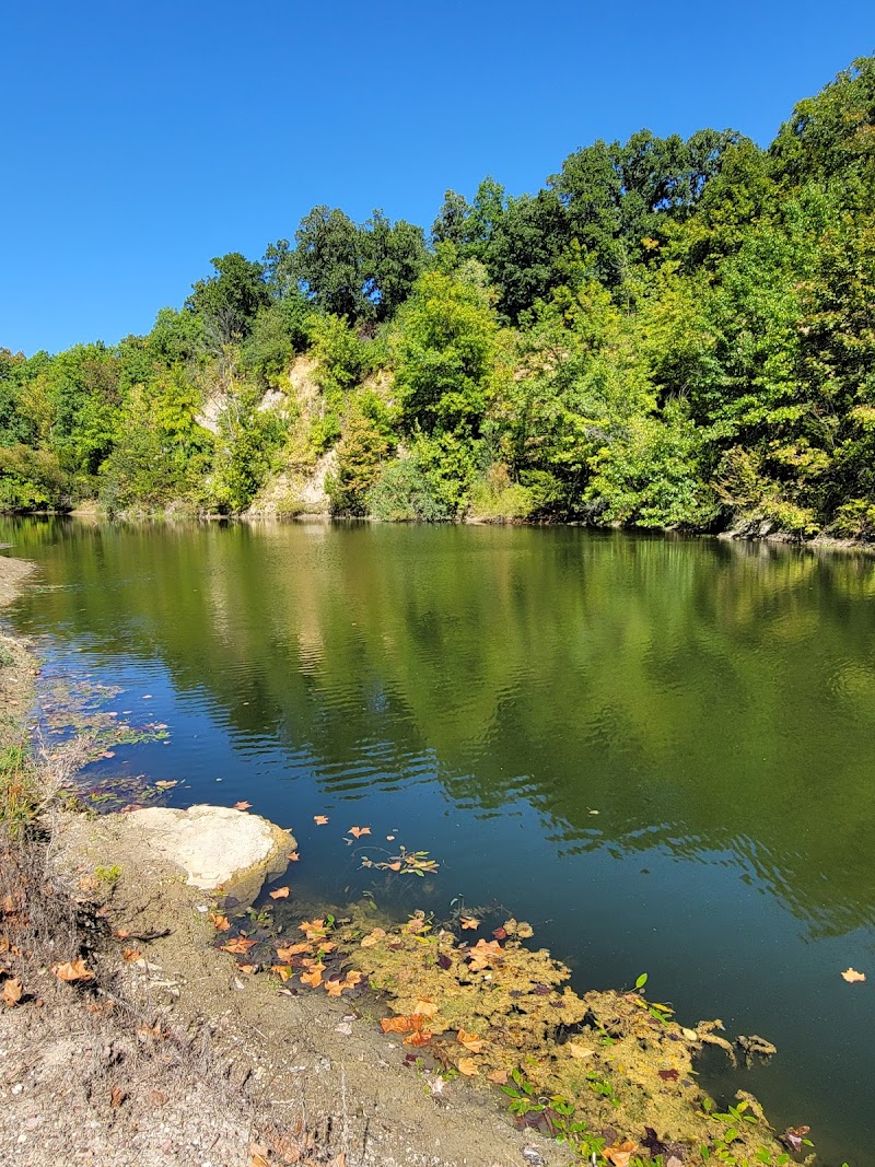 Lion's Beuth Park