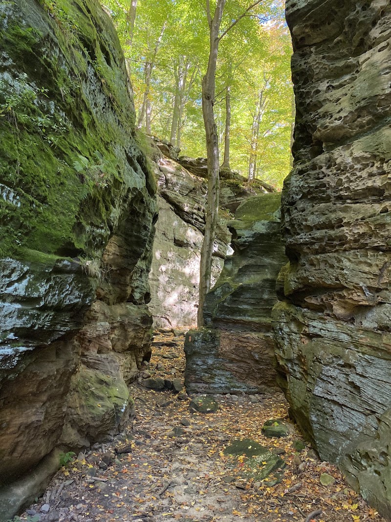 Whipps Ledges