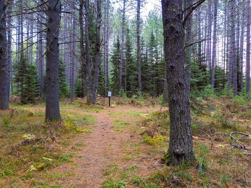 Awassa Trail - Pickleball in Saint Germain, Wisconsin