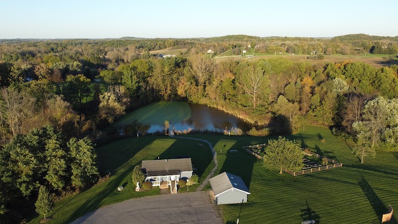 MaryFrances Bluebird Haven - Pickleball in Victor, New York