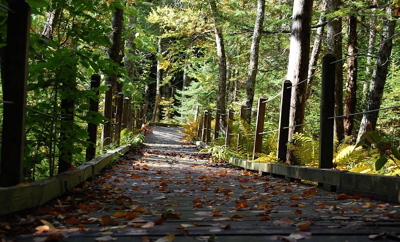 SUNY-ESF Adirondack Interpretive Center - Pickleball in Newcomb, New York