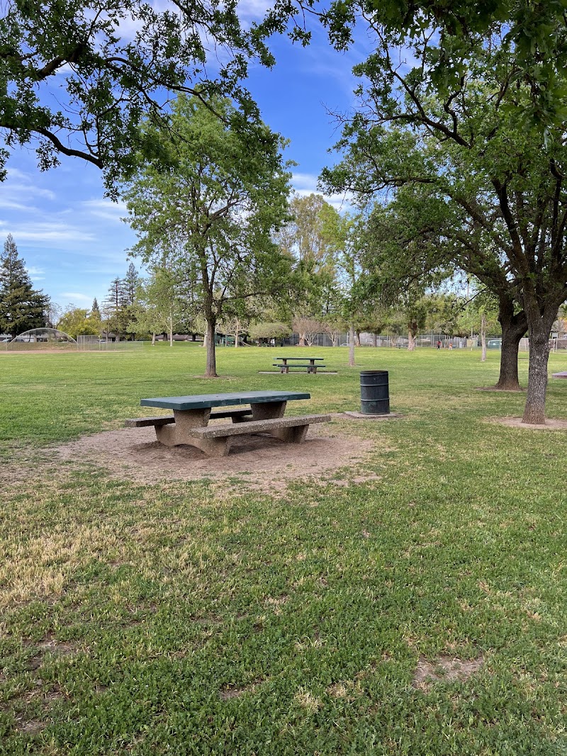 Jonas Larkspur Park