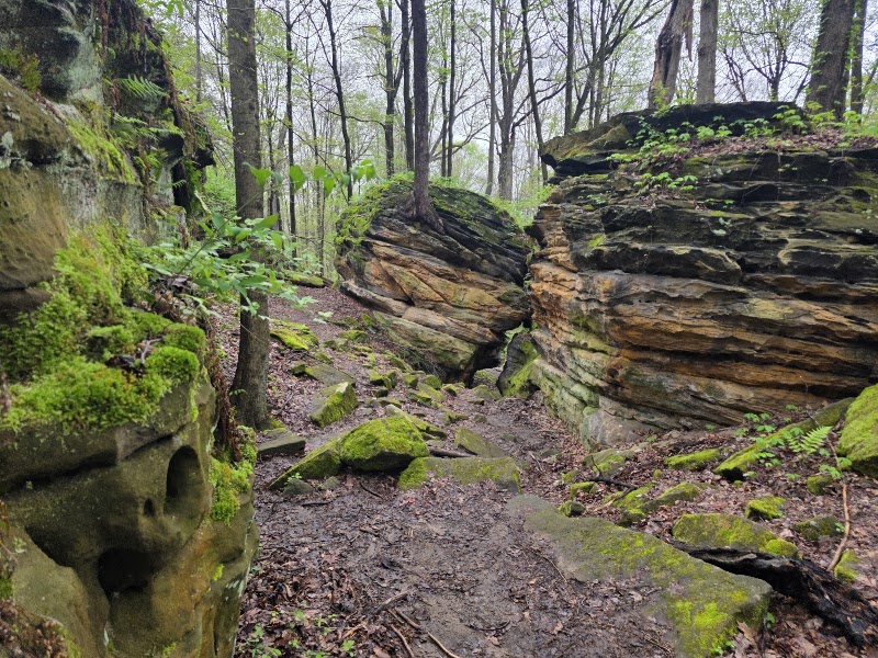 Cleveland Metroparks Hinckley Reservation
