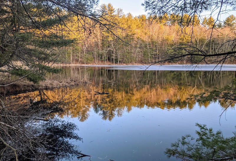 Nashua Field