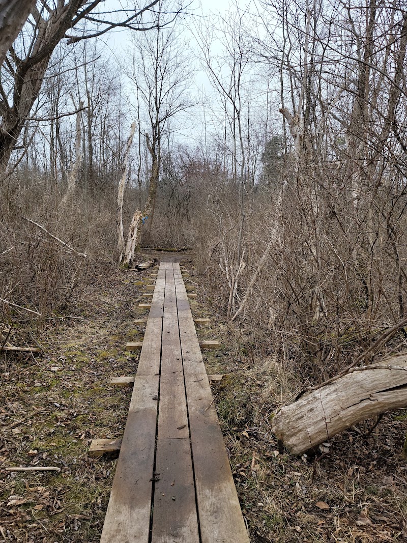 Victor Hiking Trails Inc - Pickleball in Victor, New York