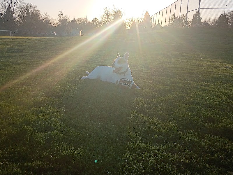 Salnave Park - Pickleball in Cheney, Washington