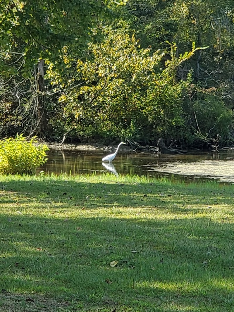 Stevenson City Park
