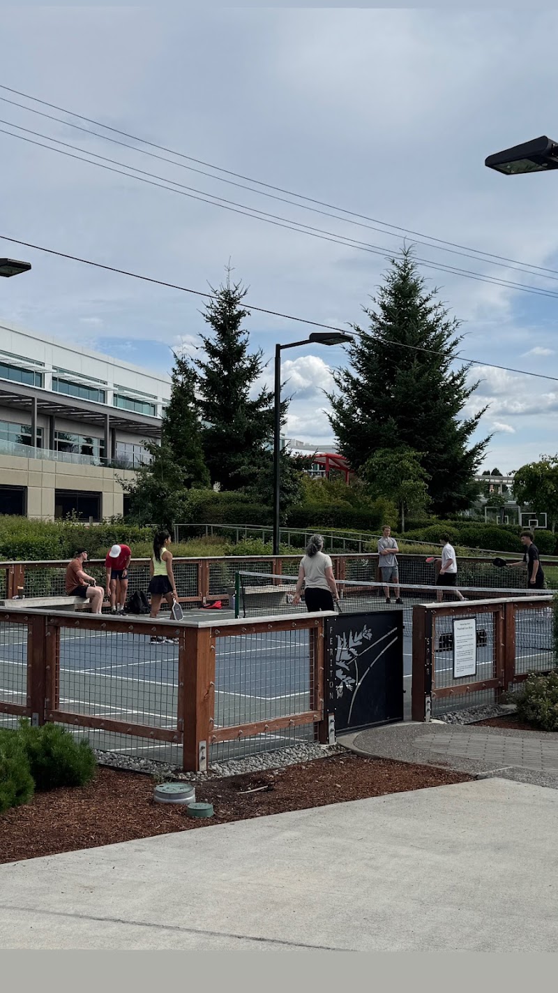 Pickleball Court